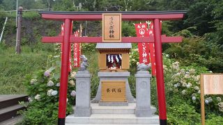 珍しいうさぎ神社があります
