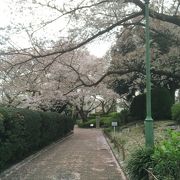 公園内も高低差あり