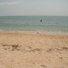 海岸から少し離れた海に立つヤハラヅカサ