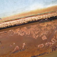 うろこのような堆積物