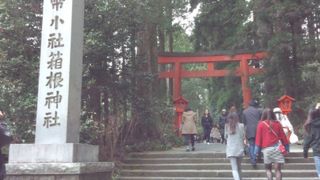 パワーがみなぎる