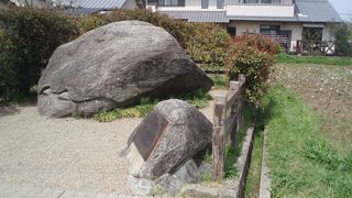 意外と大きいです