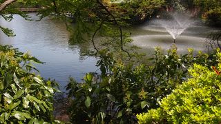 癒しの水辺スポット