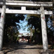 歴史ある吉祥寺村の神様