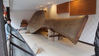 巨大シャモジを発見