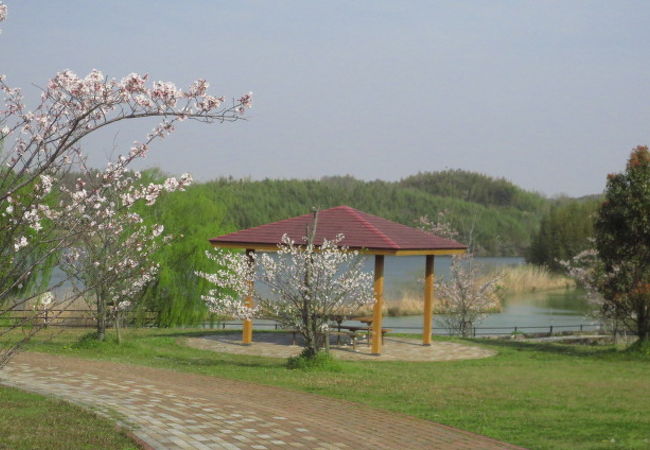 整備されすぎていない公園