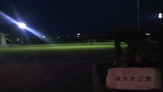 夜間でも照明設備が整っている公園です