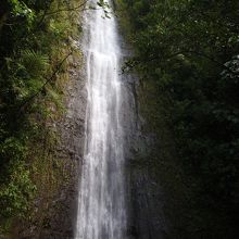 目的地の滝。あまり広くないので少し休憩したら折り返しました。