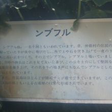 こんな解説板が設置されていました