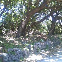 僅かに石垣などが残っています