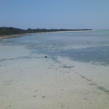 桟橋から眺める南側の景観