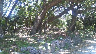 八重山の蔵元の先駆けとなる貴重な場所です