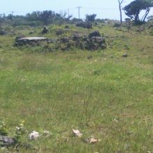 有刺鉄線に遮られて、近寄れないのが残念でした