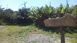 実は竹富島の集落発祥の地として貴重な場所です