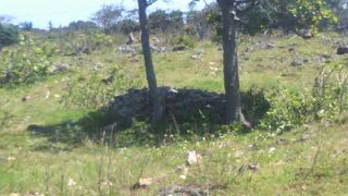 初期集落の水場として機能した場所です