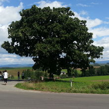 どこから観てもいい