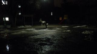 雪が溶けて春が待ち遠しい公園