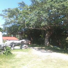 木陰で休憩も出来る公園内の様子