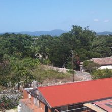 塔から望む風景