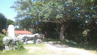 なごみの塔がある場所です