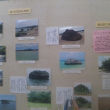 八重山での津波被害の史実、忘れてはならないことですね