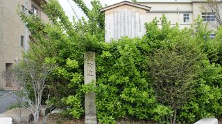 10年足らずの幻のような運命