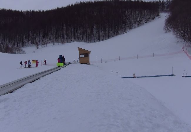 オグナ ほ たか スキー 場