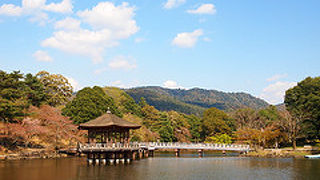 浮見堂が建つ池