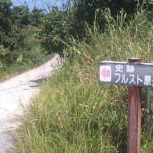 こんな道を進みます