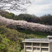 奇岩好きにはお勧めです。