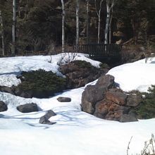 まだまだ冬の風情が残る4月半ばの庭園内の様子