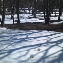 こういう状態の所を無理やり登ってしまいました…（汗）