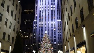 大きくキラキラ