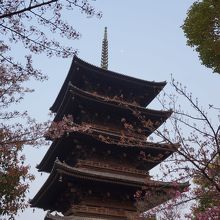 どの角度から見ても美しい。