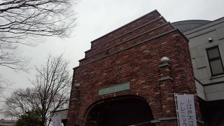 小江戸大江戸203Kマラニックの会場。