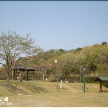 綺麗に清掃されています