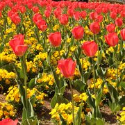 四季折々の花が見られます