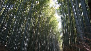 嵐山に行ったら是非訪れたい。