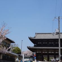 駅は仁和寺のすぐ前です。