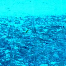 流氷が見えてきた
