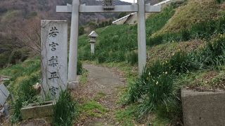 梨子ヶ平・・・村の宮