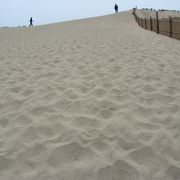 東西約4kmに渡って広がる砂丘