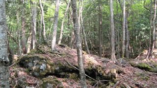 一度入ったら出られない？