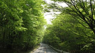 富士山西麓にひろがる高原