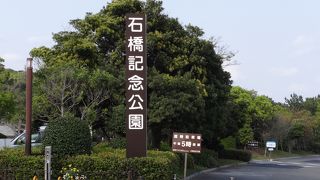 都市公園です。
