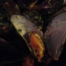 ムール貝。つぶの一つ一つが大きいです！