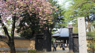 桜が似合う寺