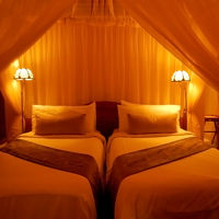 天蓋付きのベッド