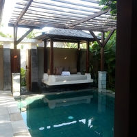 プール。フランジパニがパラパラと落ちています。