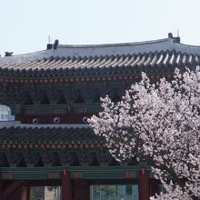 弘化門 (宮殿内から見ています)